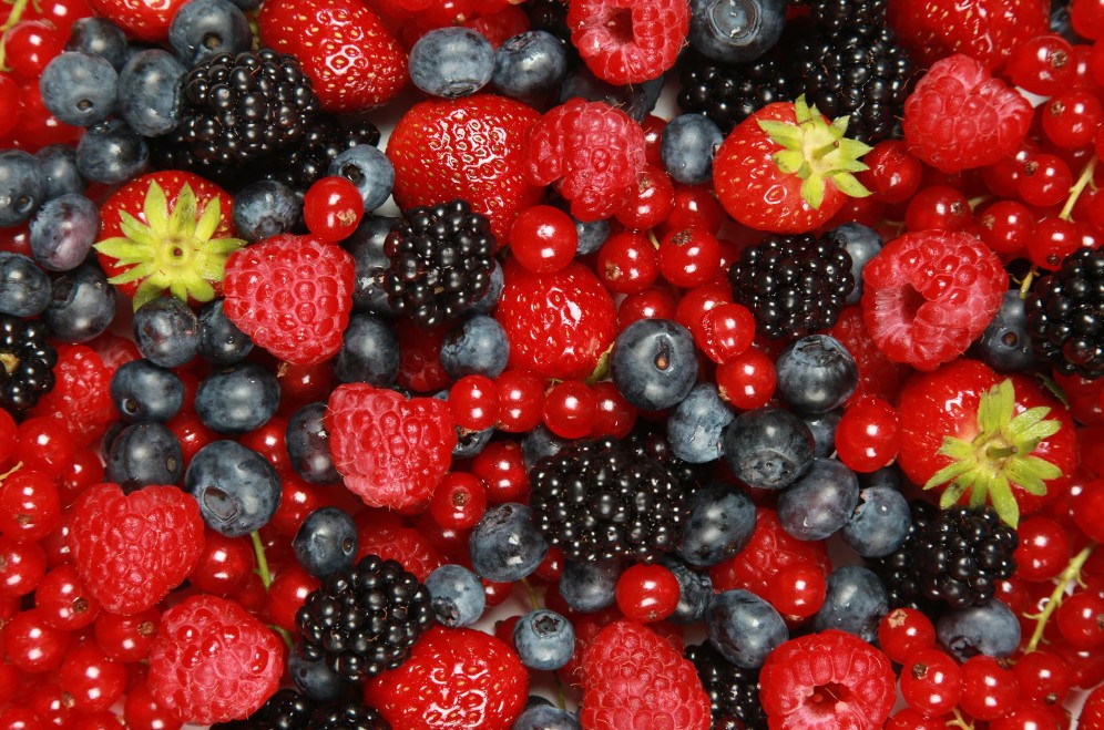 World's Berries